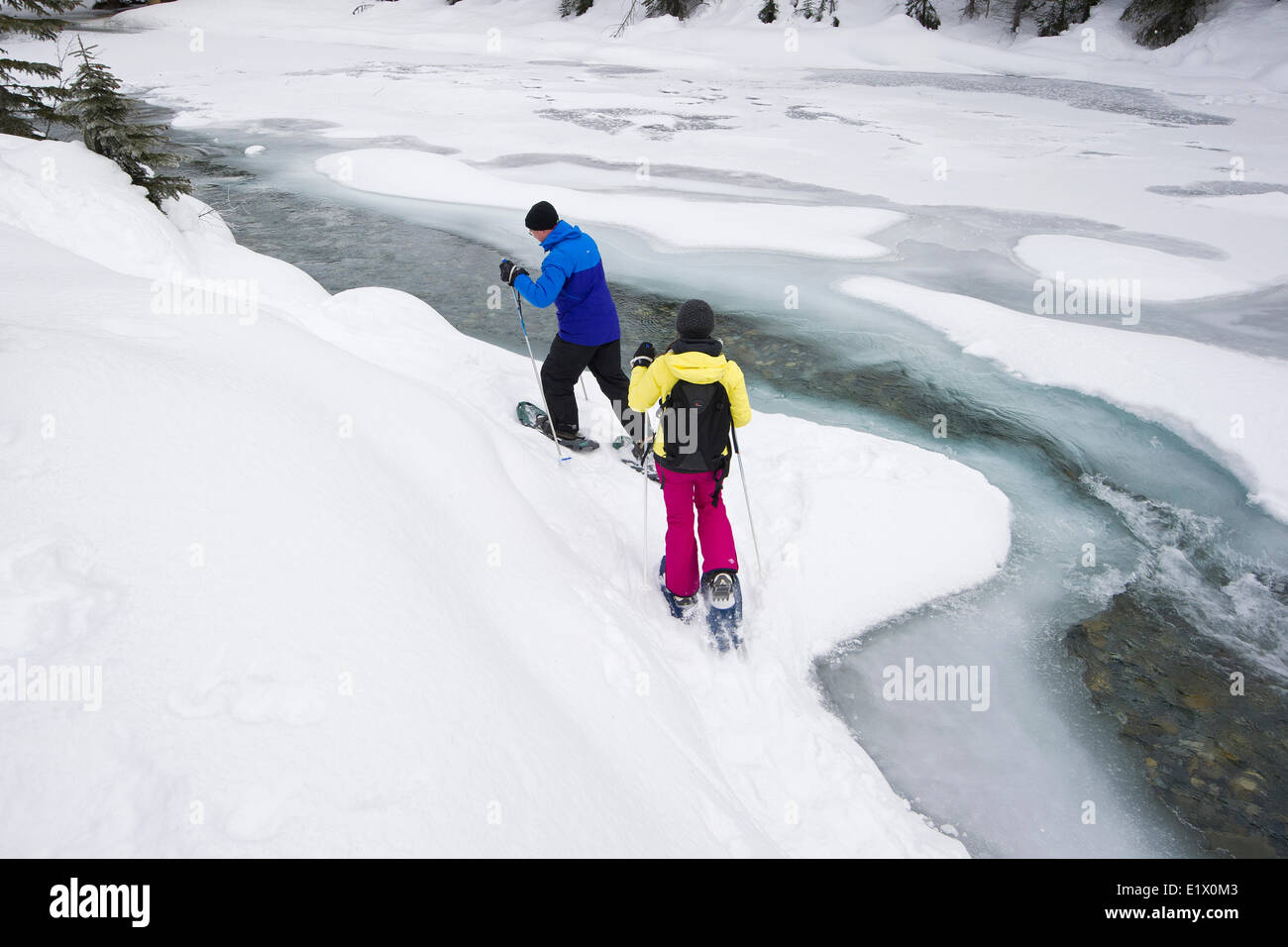 A group of cross country skiiers explore 'Jackman Flats' near Valemount