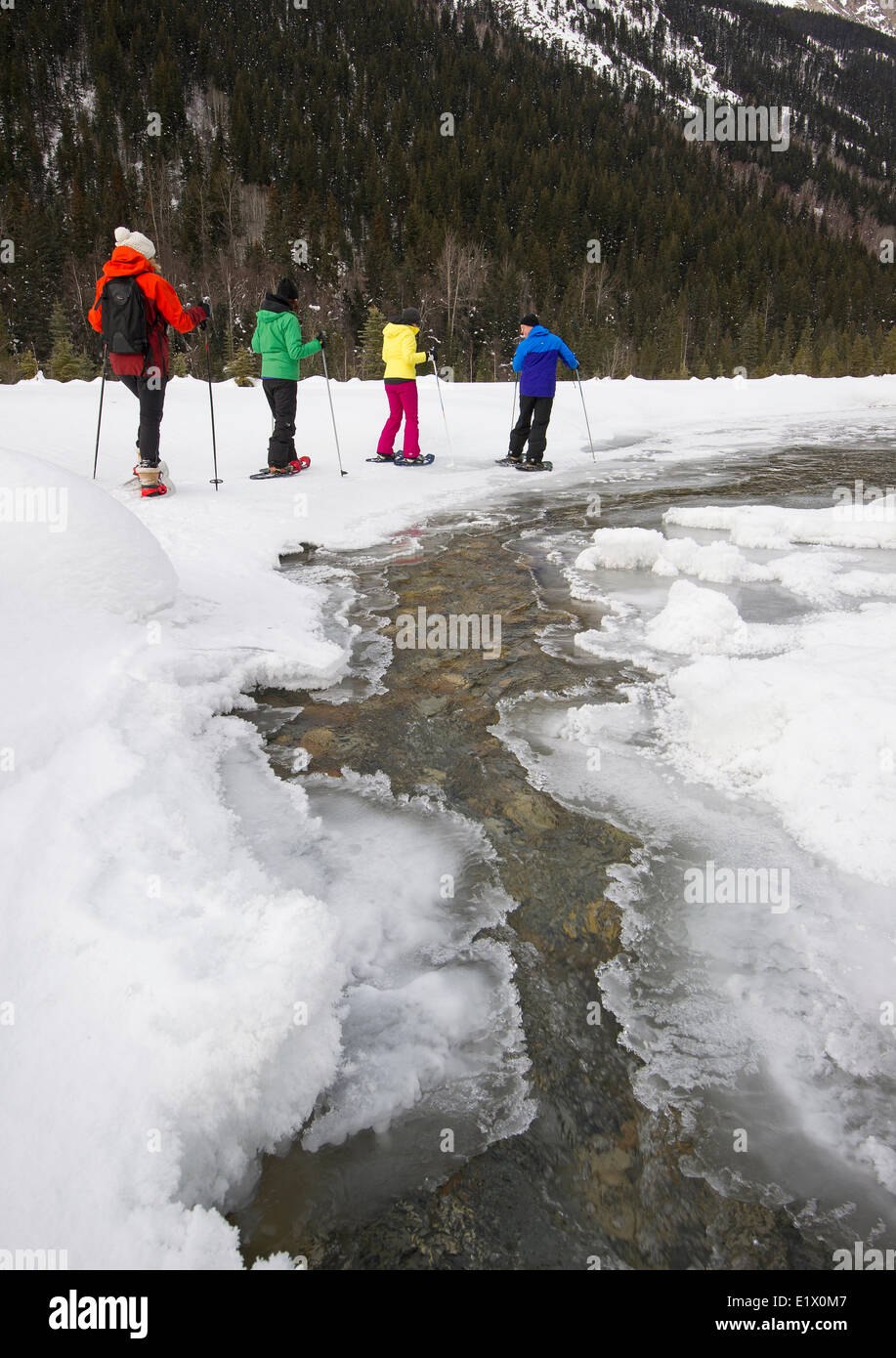 A group of cross country skiiers explore 'Jackman Flats' near Valemount