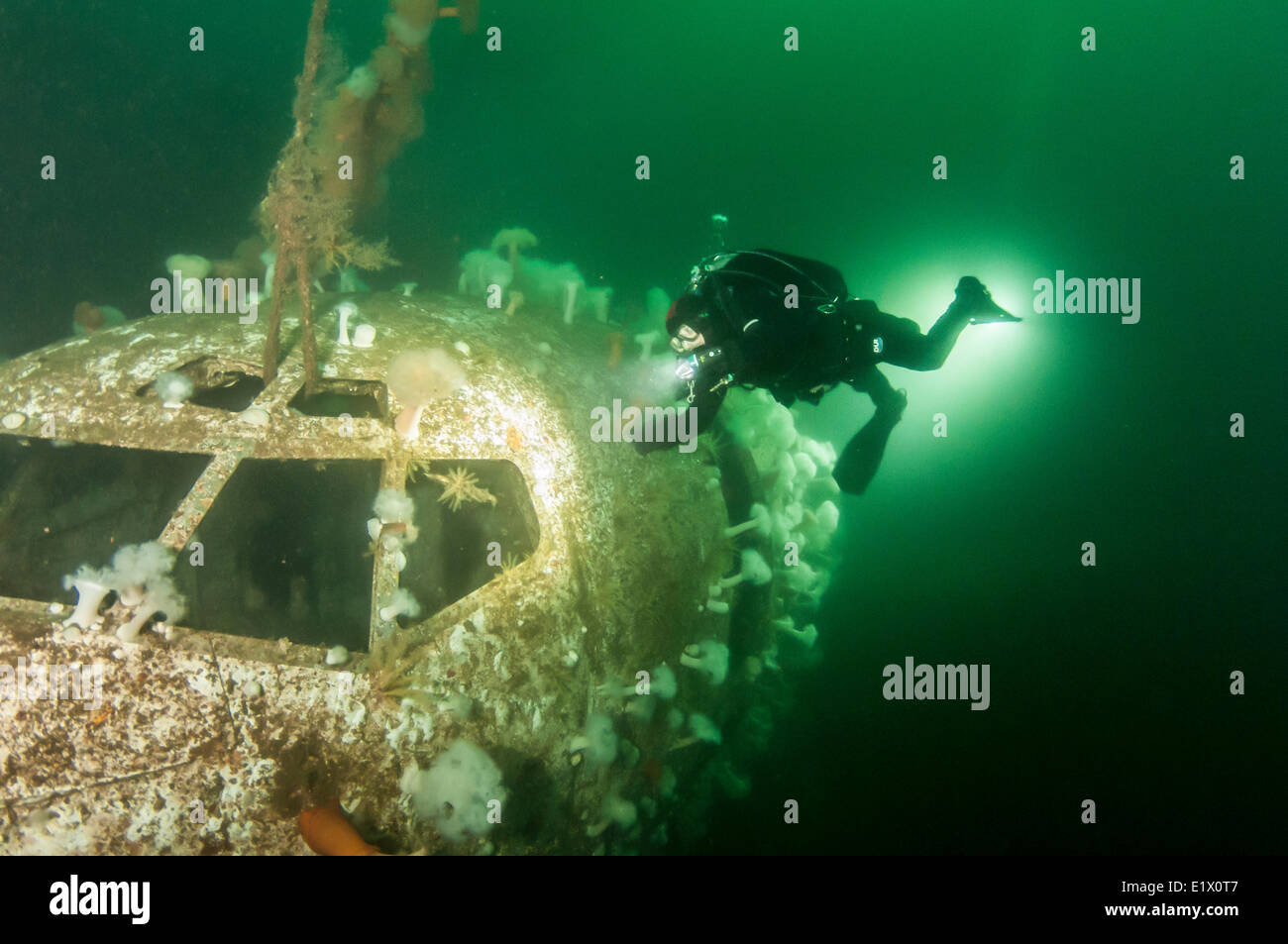 A scuba diver inspects the artificial wreck of a 737 Air Canada airplane, sunk near Chemainus, BC Stock Photo