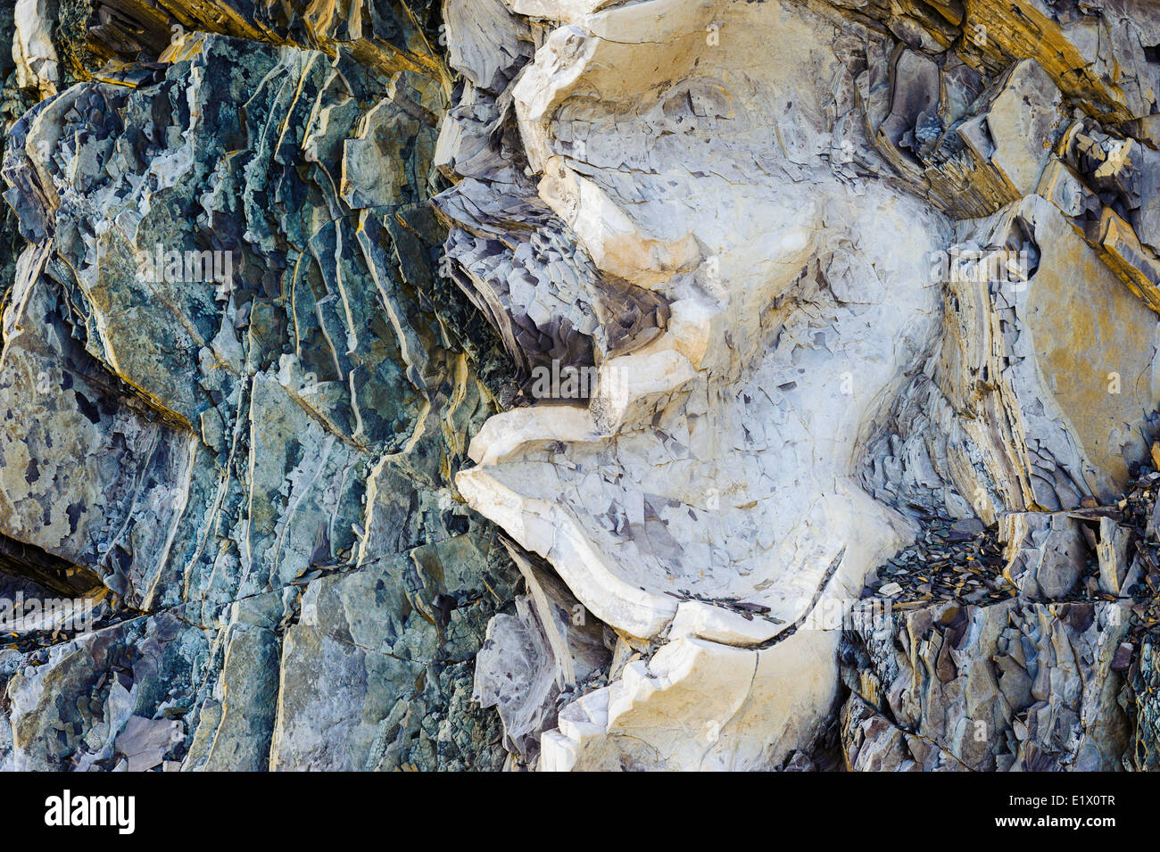 Limestone at Green Point site the global stratotype for the Cambrian Ordovician geologic boundary. Gros Morne National Park Stock Photo