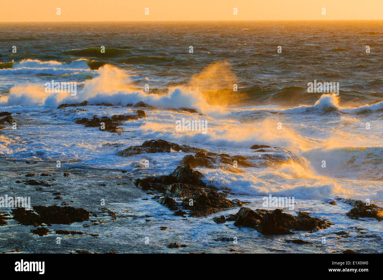 Atlantic Ocean waves hit Green Point in Gros Morne National Park, Newfoundland. Canada. Stock Photo