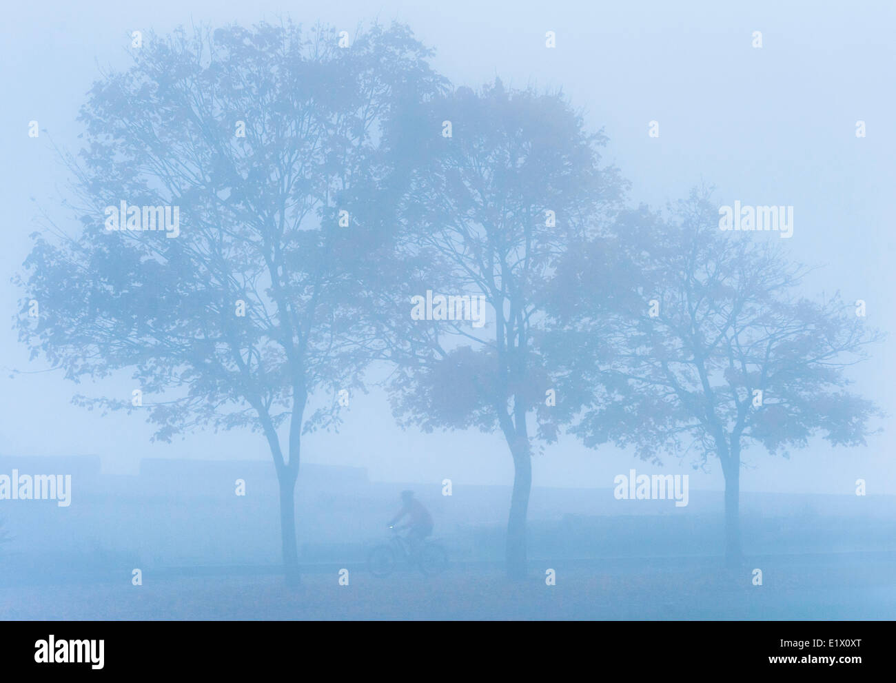 Bicycling in fog, Sunset Beach Park. Stock Photo