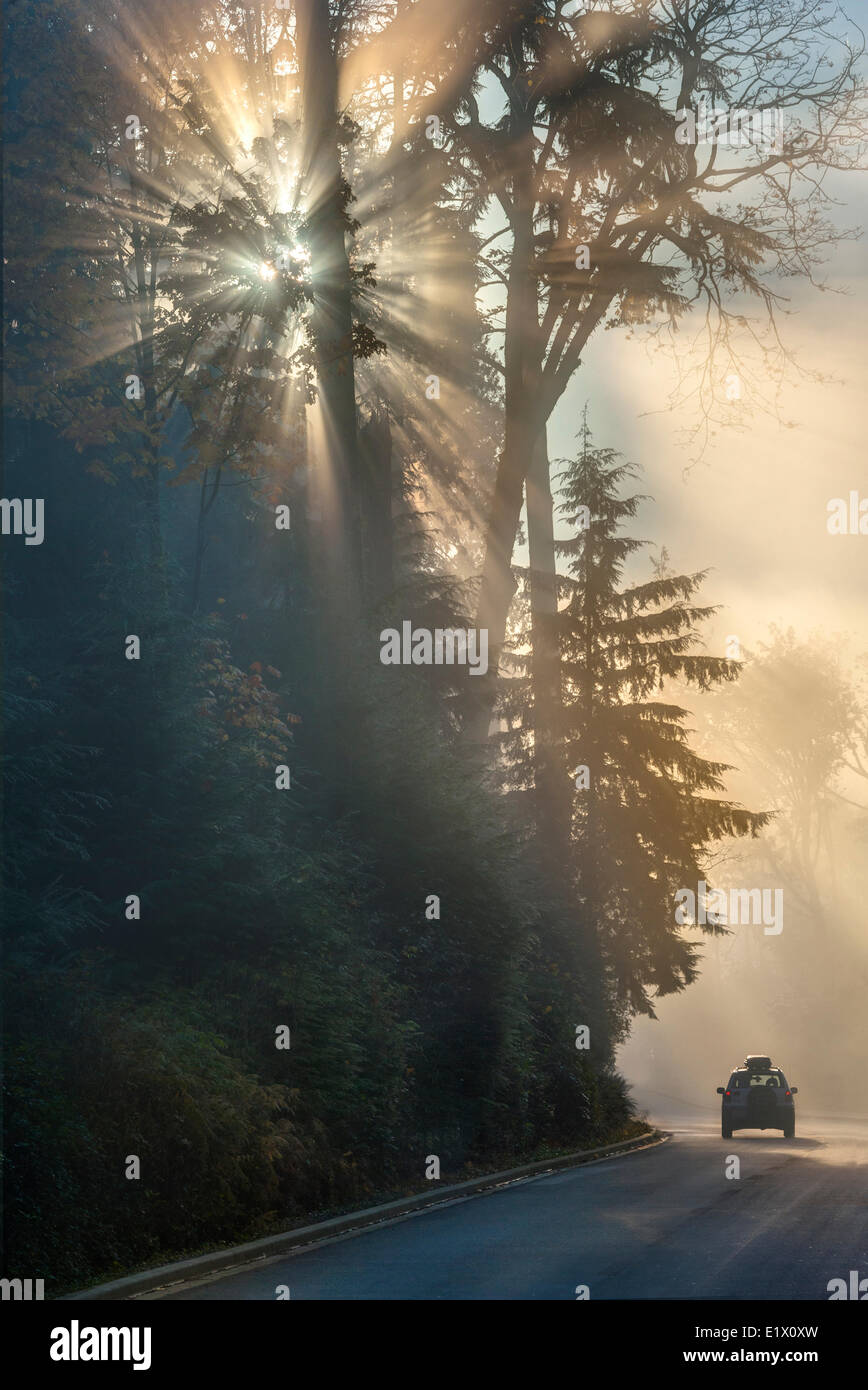 Driving in fog. Stanley Park Drive, Vancouver, British Columbia, Canada Stock Photo