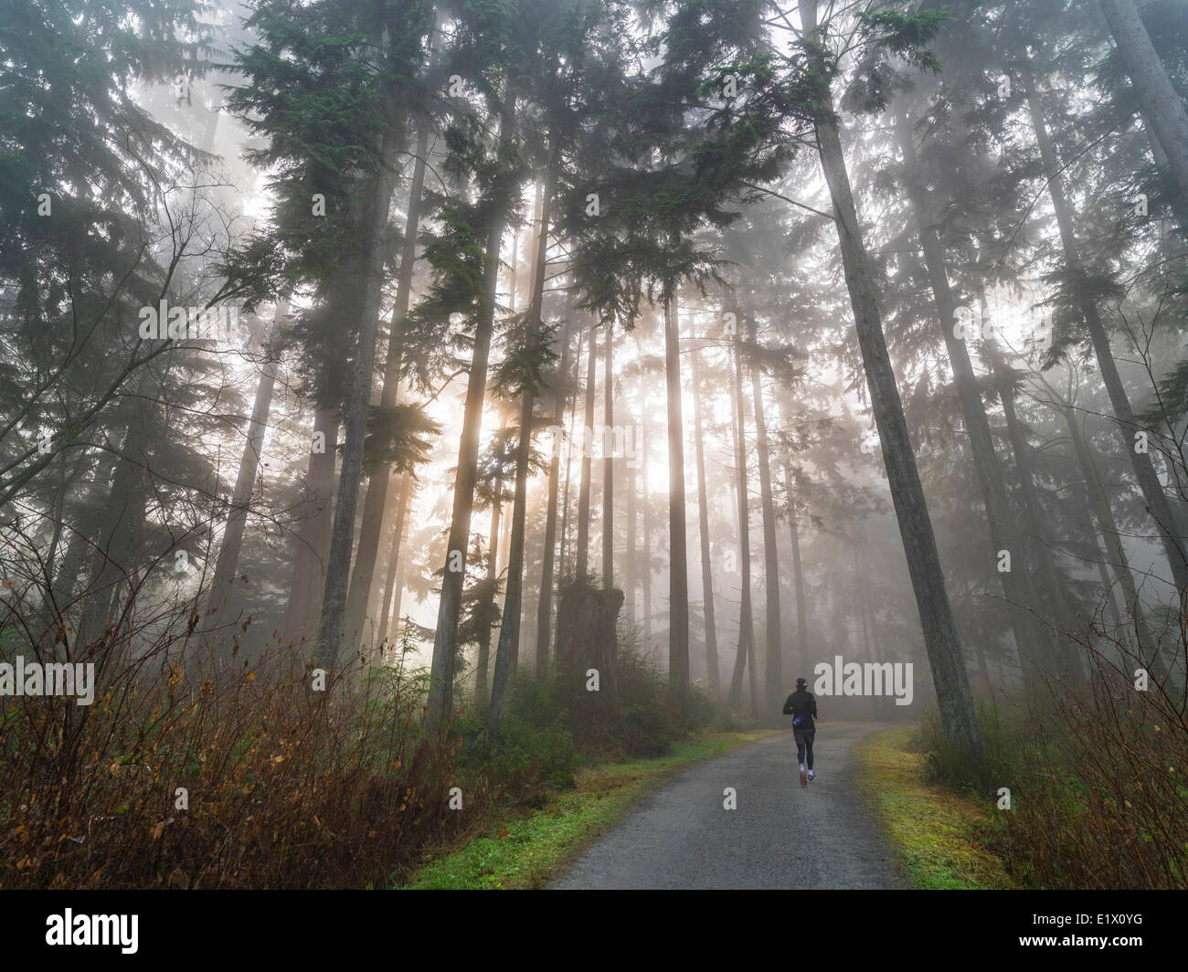 Jogging in fog, Stock Photo