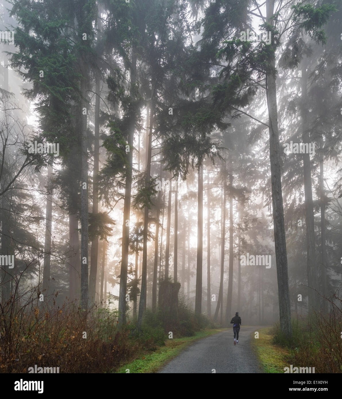 Jogging in fog, Vancouver, British Columbia, Canada Stock Photo