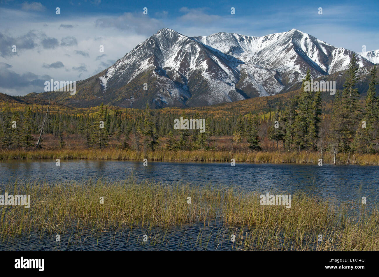 St. Elias Range, near Snag, Yukon Territory along the Alaska Highway, Canada. September. Stock Photo