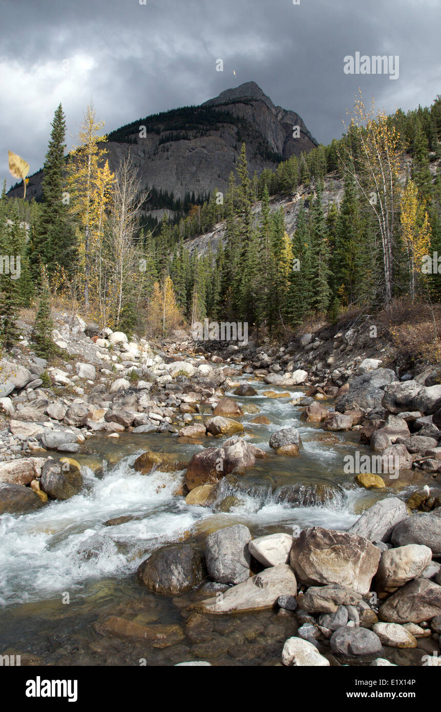 Mountain stream flowing over rocks with autumn leaves. Stock Photo