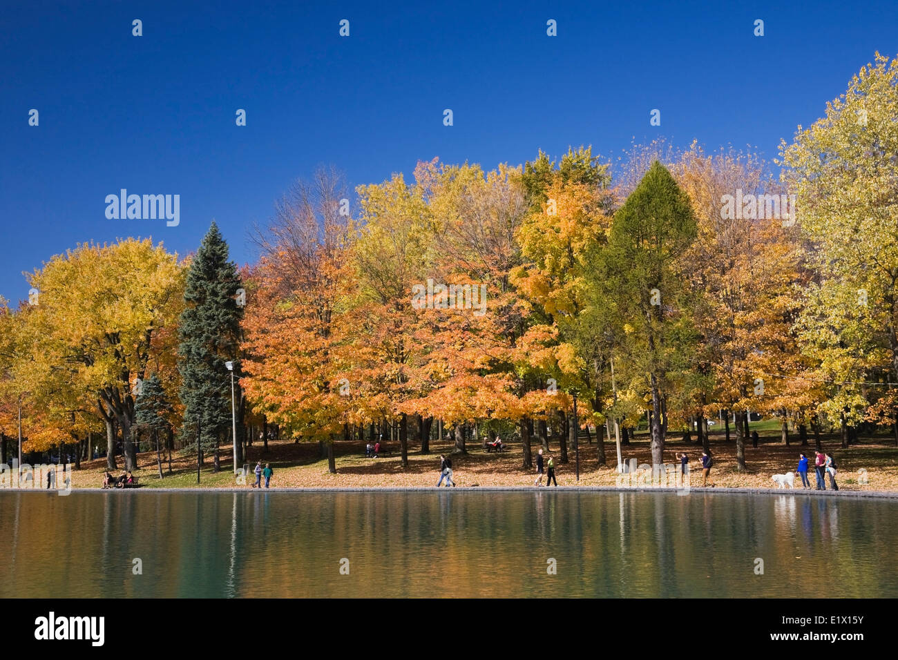 People walking around Lac des Castors (Beaver Lake) on Mount Royal Park in Autumn, Montreal, Quebec, Canada Stock Photo