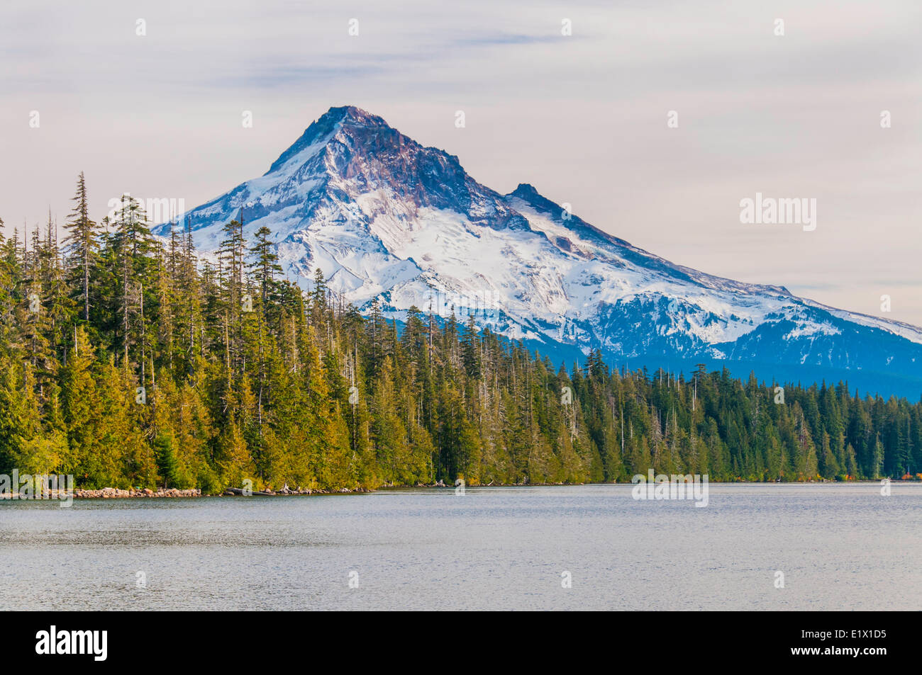 Trillium Lake is a lake situated 7.5 miles (12.1 km) south-southwest Mount Hood in the U.S. state Oregon.View Mount Hood in Stock Photo