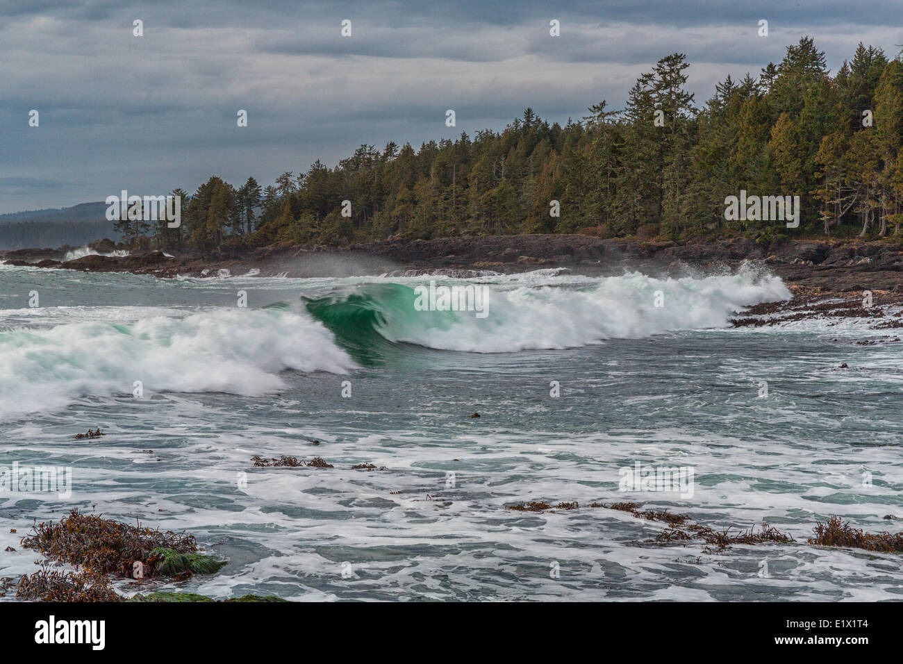 Waves break as they near the shorelone of Botany Bay, Vancouver Island, British Columbia, Canada. Stock Photo