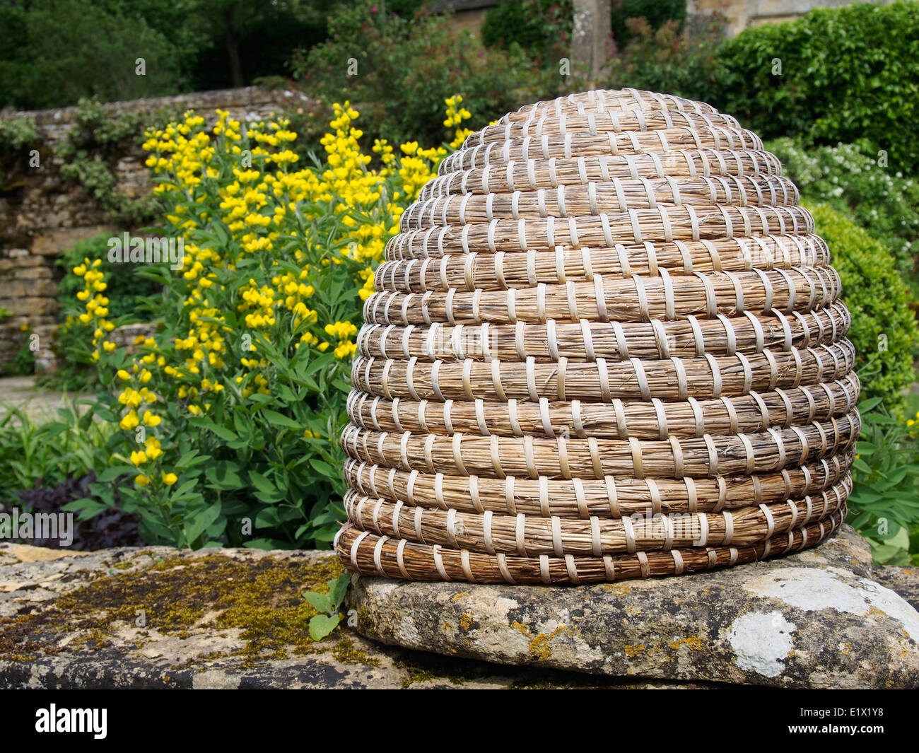Skep beehive, a traditional form used for over 2000 years perched on a