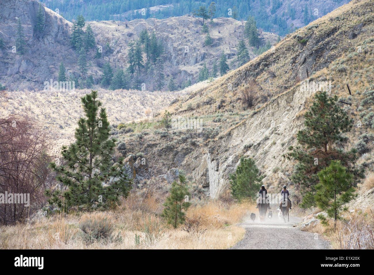 Horse riders on the Kettle Valley Railway trail between Okanagan Falls