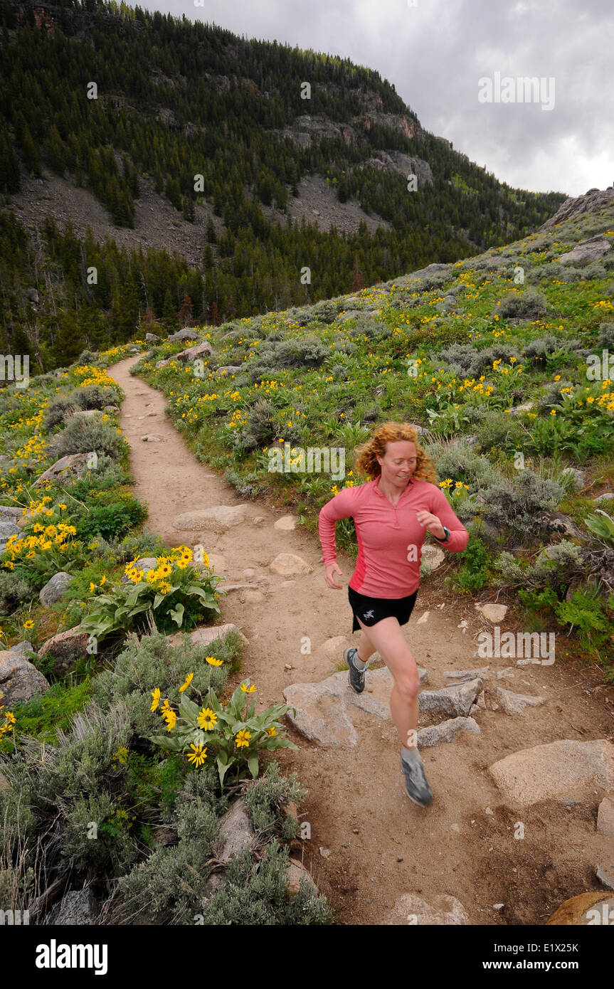 Woman trail running the Middle Fork Falls trail in Sinks Canyon. Lander, Wyoming. USA Stock Photo