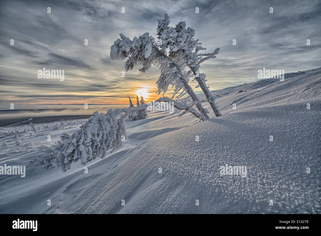 Mid day sun as seen from the snowy slopes of Crow Mountain, near Old