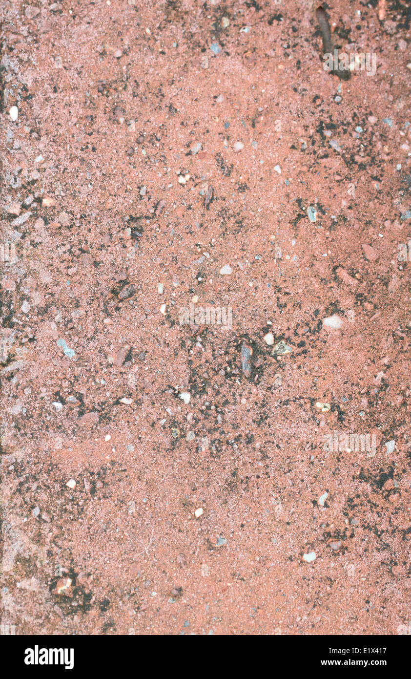 pattern slab of red stone for background. Stock Photo
