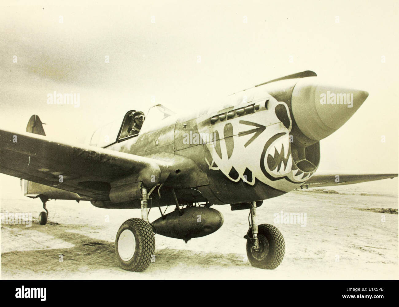 Curtiss p 40 warhawk hi-res stock photography and images - Alamy