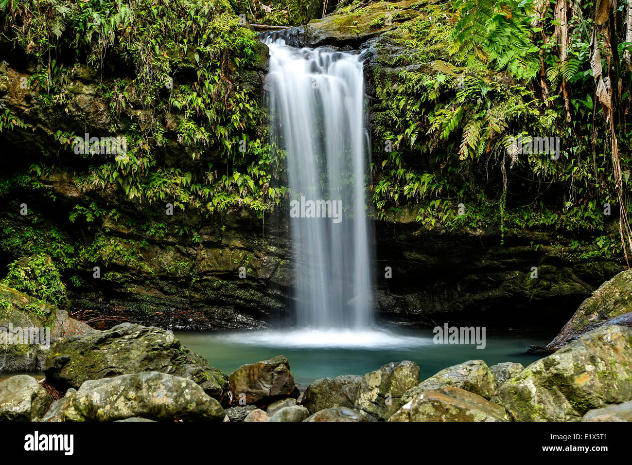 Juan Diego Waterfall, Caribbean National Forest (El Yunque Rain Forest), Puerto Rico Stock Photo
