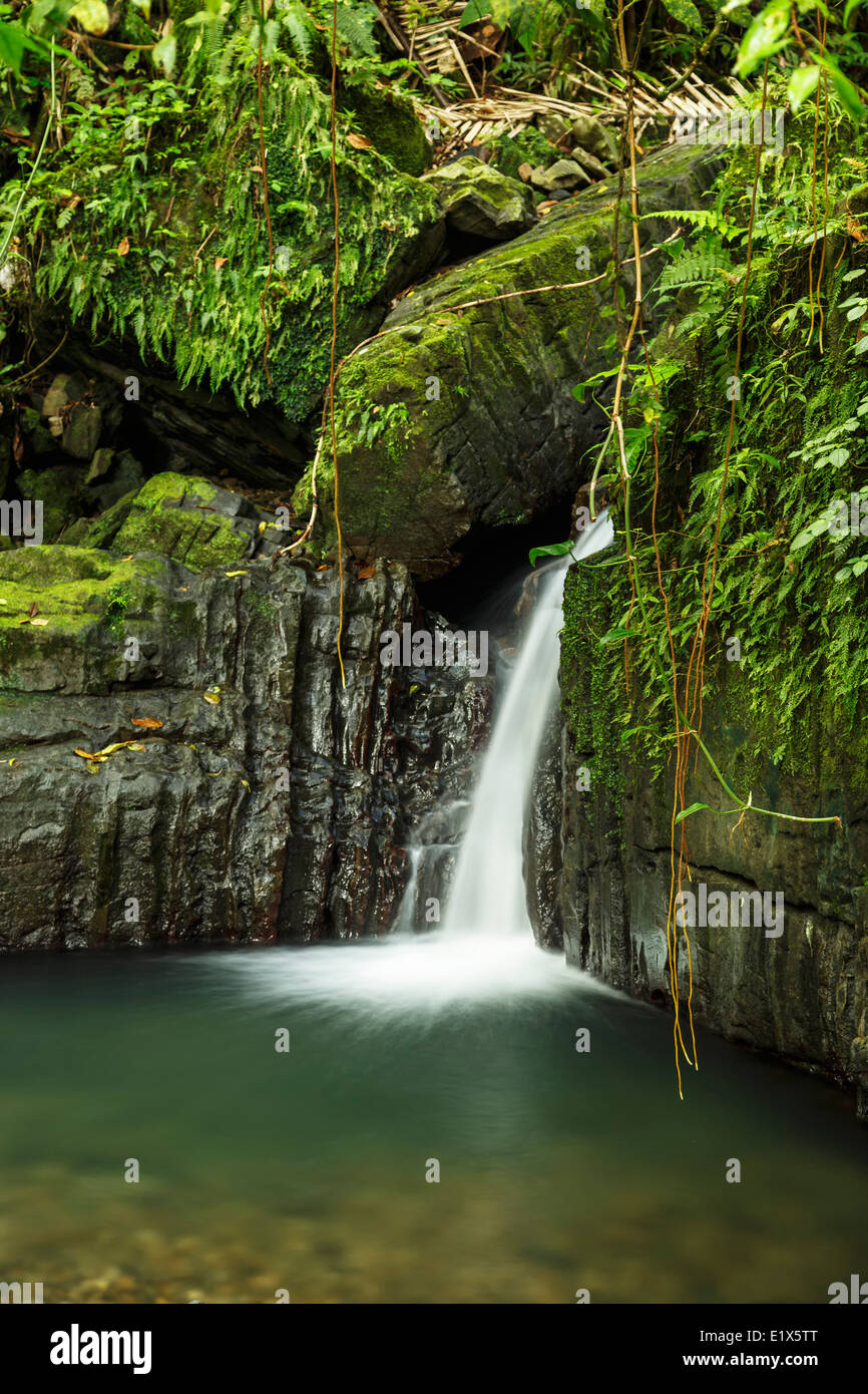 Lower Juan Diego Waterfall, Caribbean National Forest (El Yunque Rain
