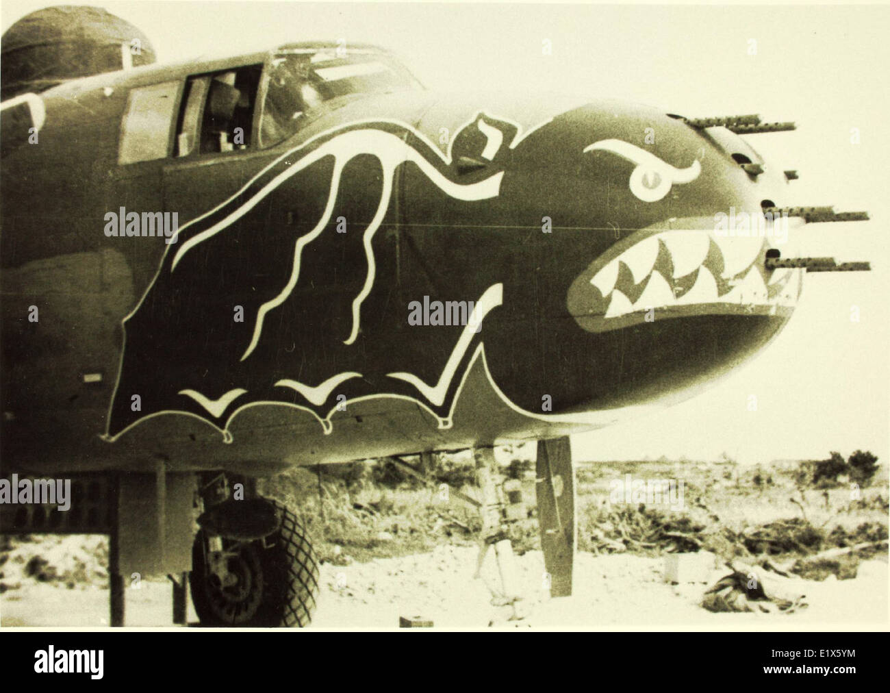 345th Bomb Group North American B 25 Mitchell Stock Photo Alamy 345th Bomb Group North American B 25 Mitchell Stock Photo Alamy