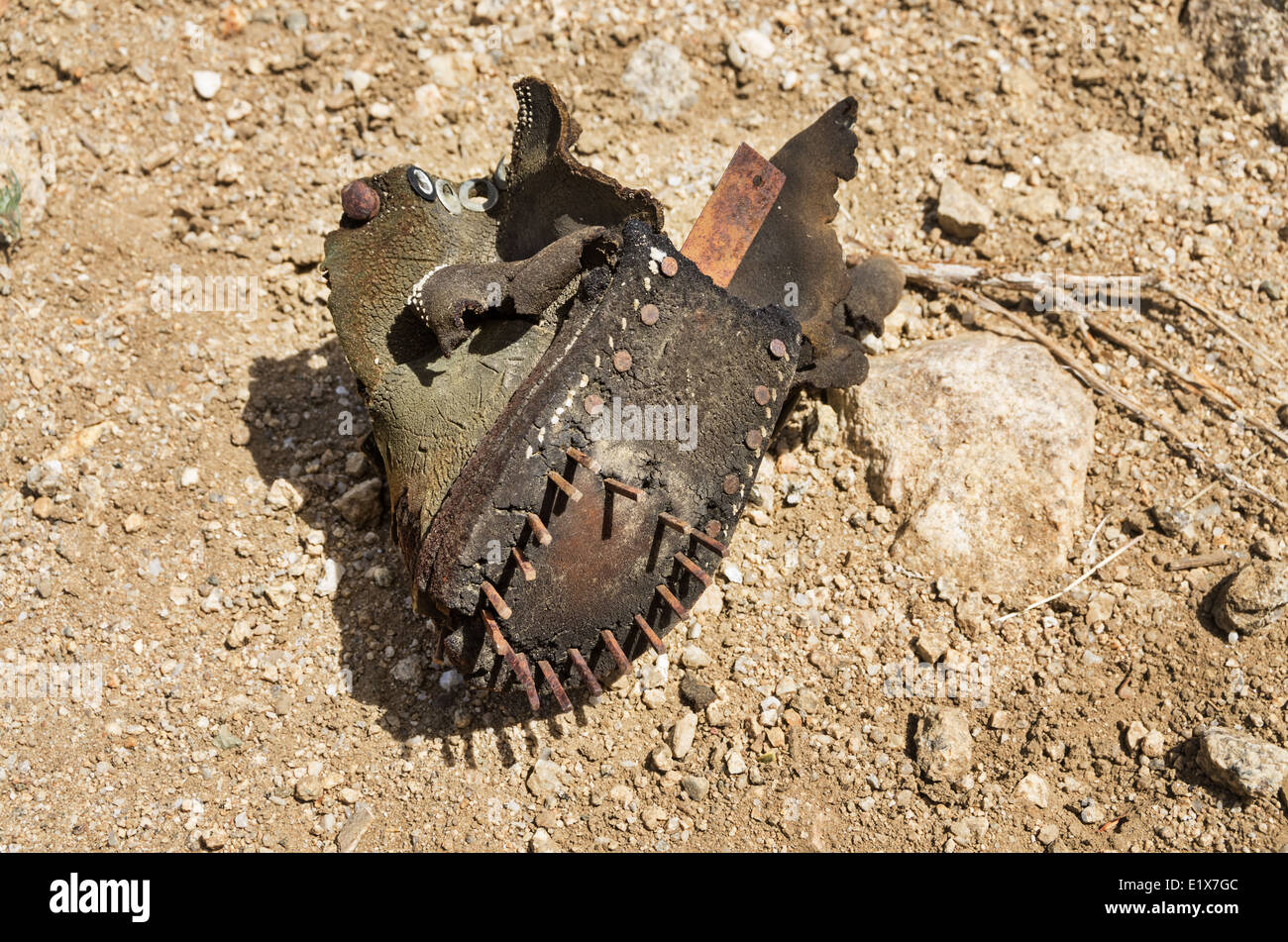 the remains of an old shoe left out in the desert Stock Photo