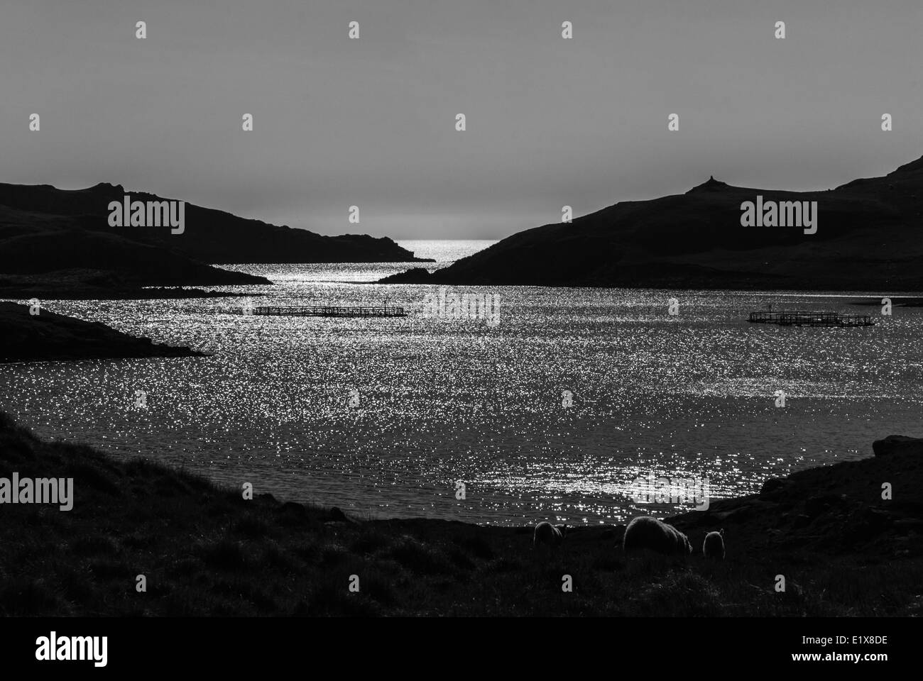 A Black and White image of an evening view west from Mavis Grind, Shetland Scotland Stock Photo