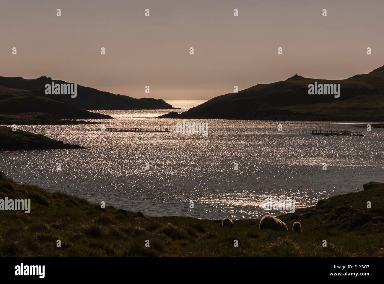 An evening view west from Mavis Grind, Shetland Scotland Stock Photo
