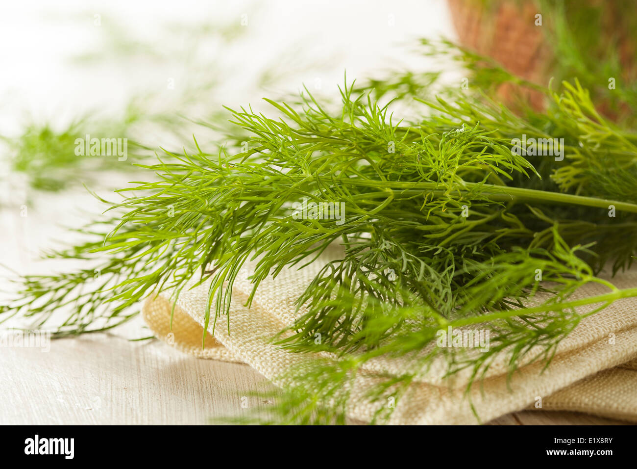 Green herb hi-res stock photography and images - Alamy
