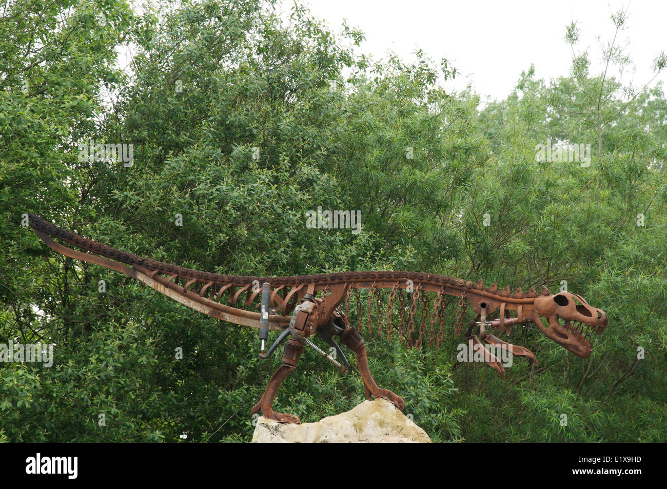 Dino run hi-res stock photography and images - Page 4 - Alamy