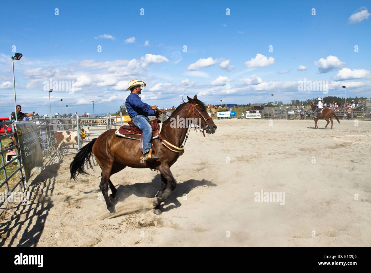 Cowboy riding horse Stock Photo