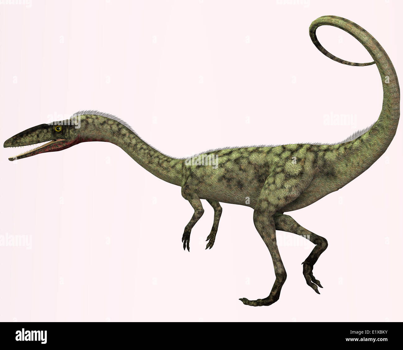 Coelophysis is the earliest known dinosaur. Stock Photo