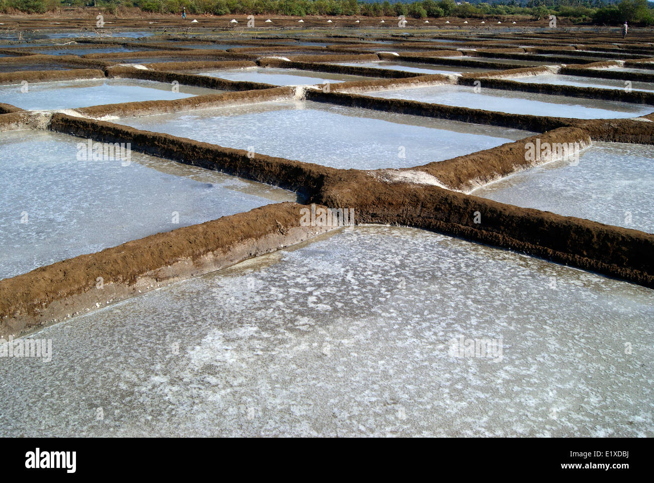 Salt evaporation ponds in India salterns or salt pans collecting salt
