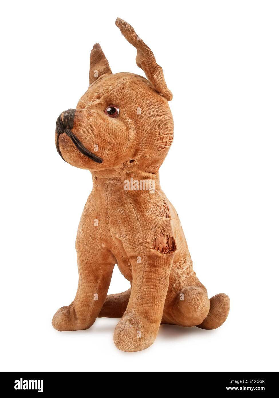 vintage toy dog, stuffed with straw, isolated on white background Stock Photo