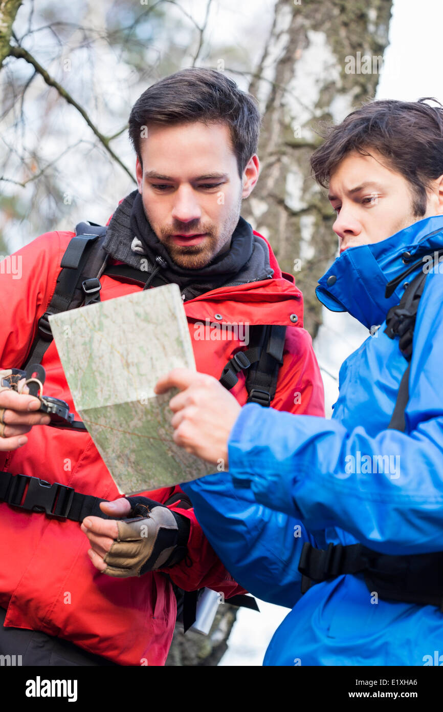 Male backpackers reading map together in forest Stock Photo