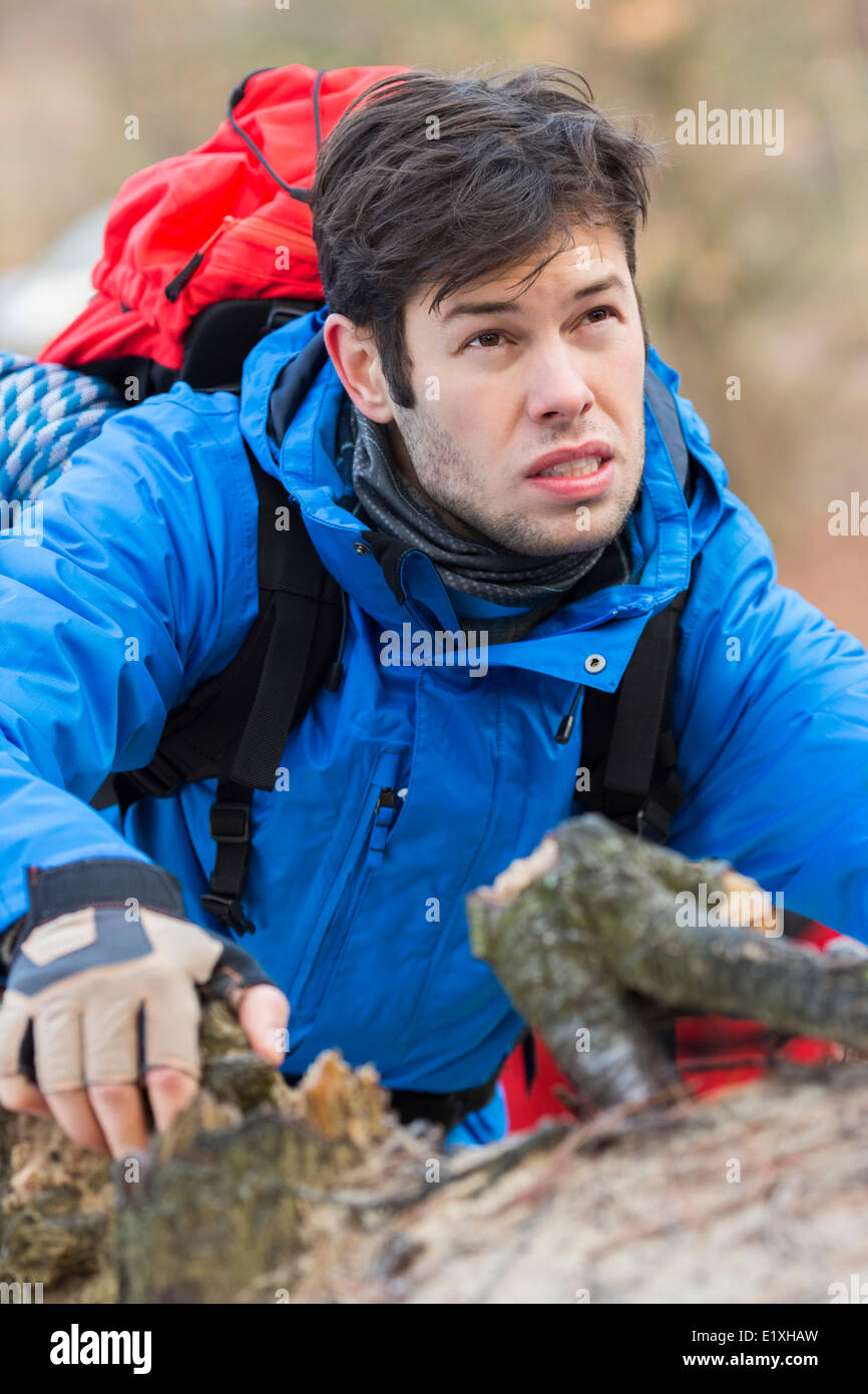 Young male backpacker hiking in forest Stock Photo