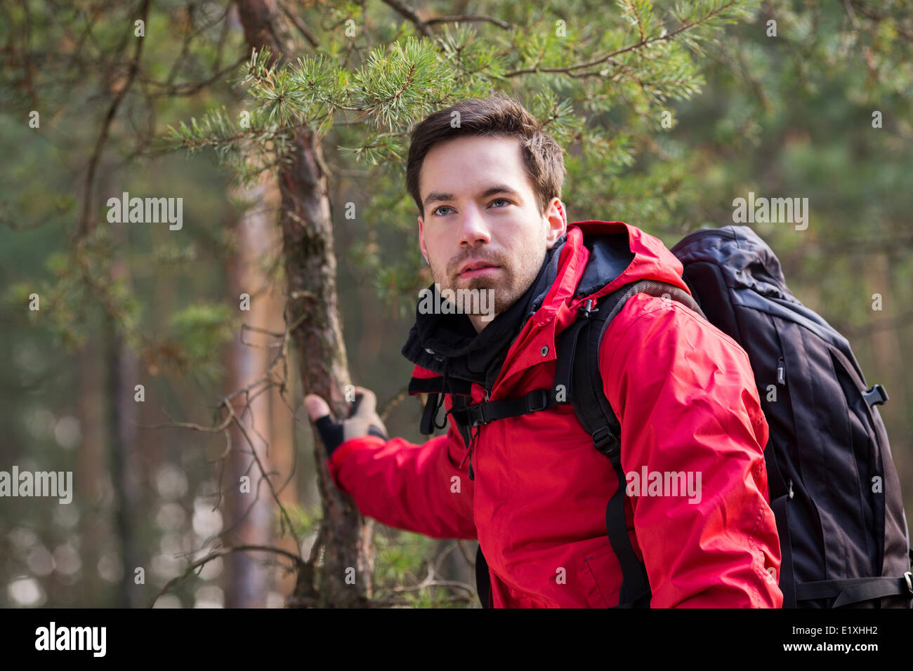 Young male backpacker in forest Stock Photo