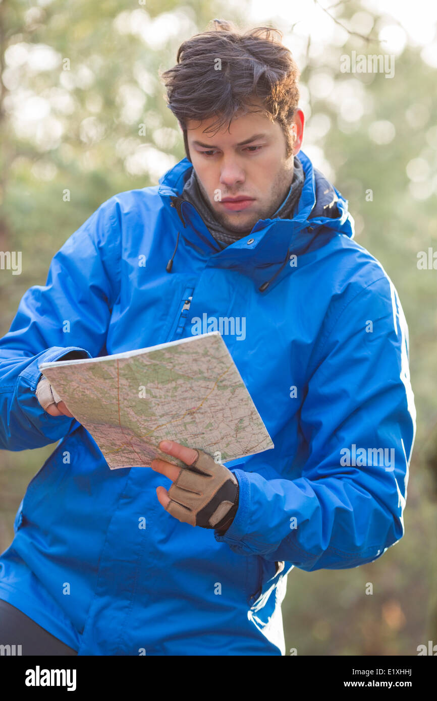 Young male hiker reading map in forest Stock Photo