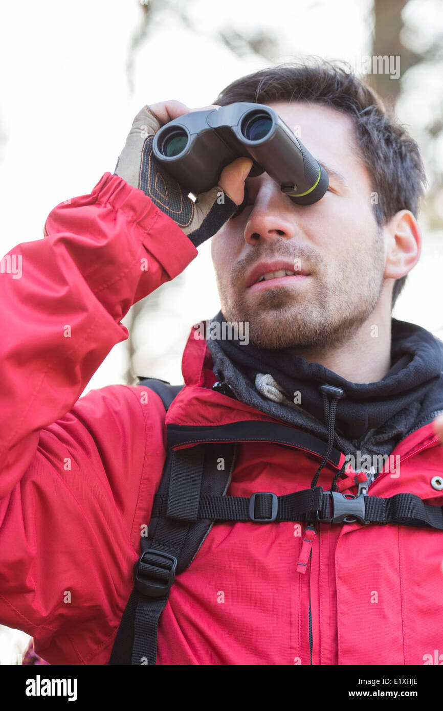Young male backpacker using binoculars in forest Stock Photo