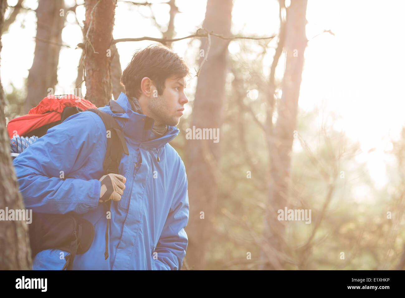Environment hiker forest man hi-res stock photography and images - Alamy