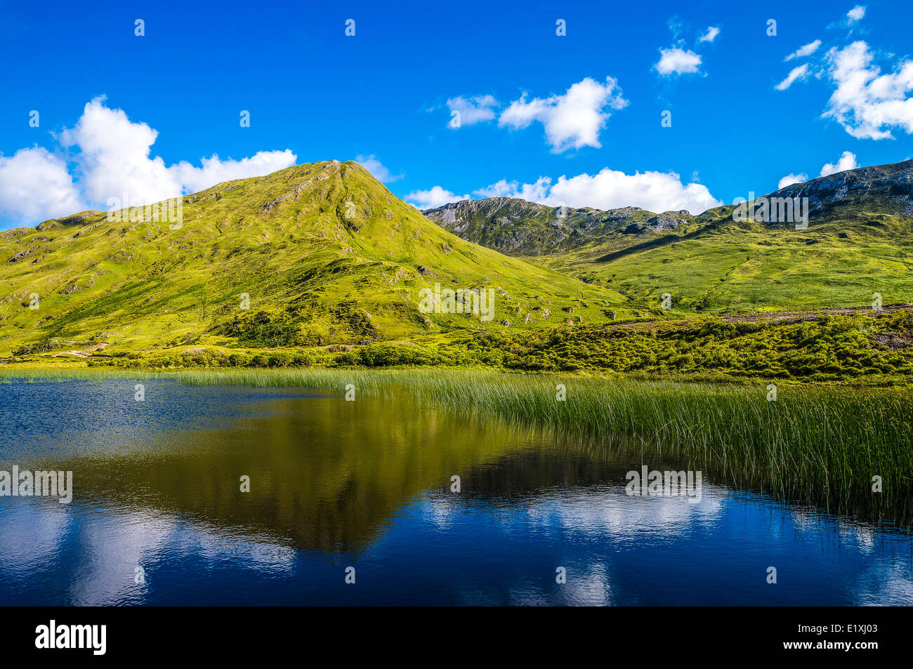 Ireland, Galway county, Connemara area, the Leenane lake Stock Photo ...