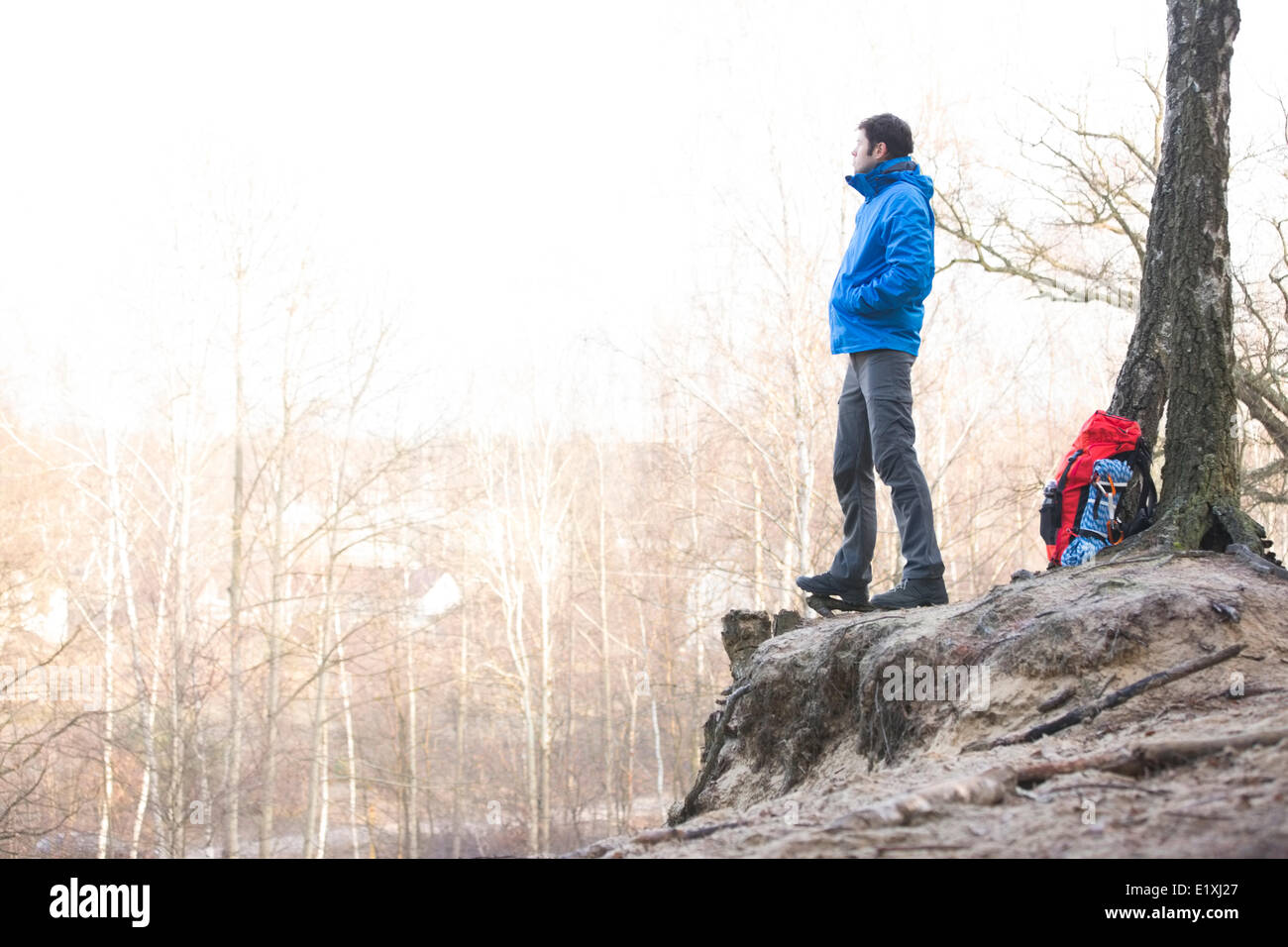 Side view of hiker standing on edge of cliff in forest Stock Photo