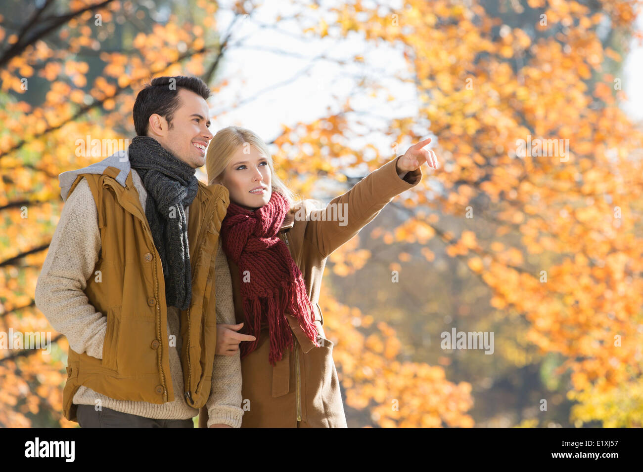 Woman pointing while standing with man in park during autumn Stock Photo