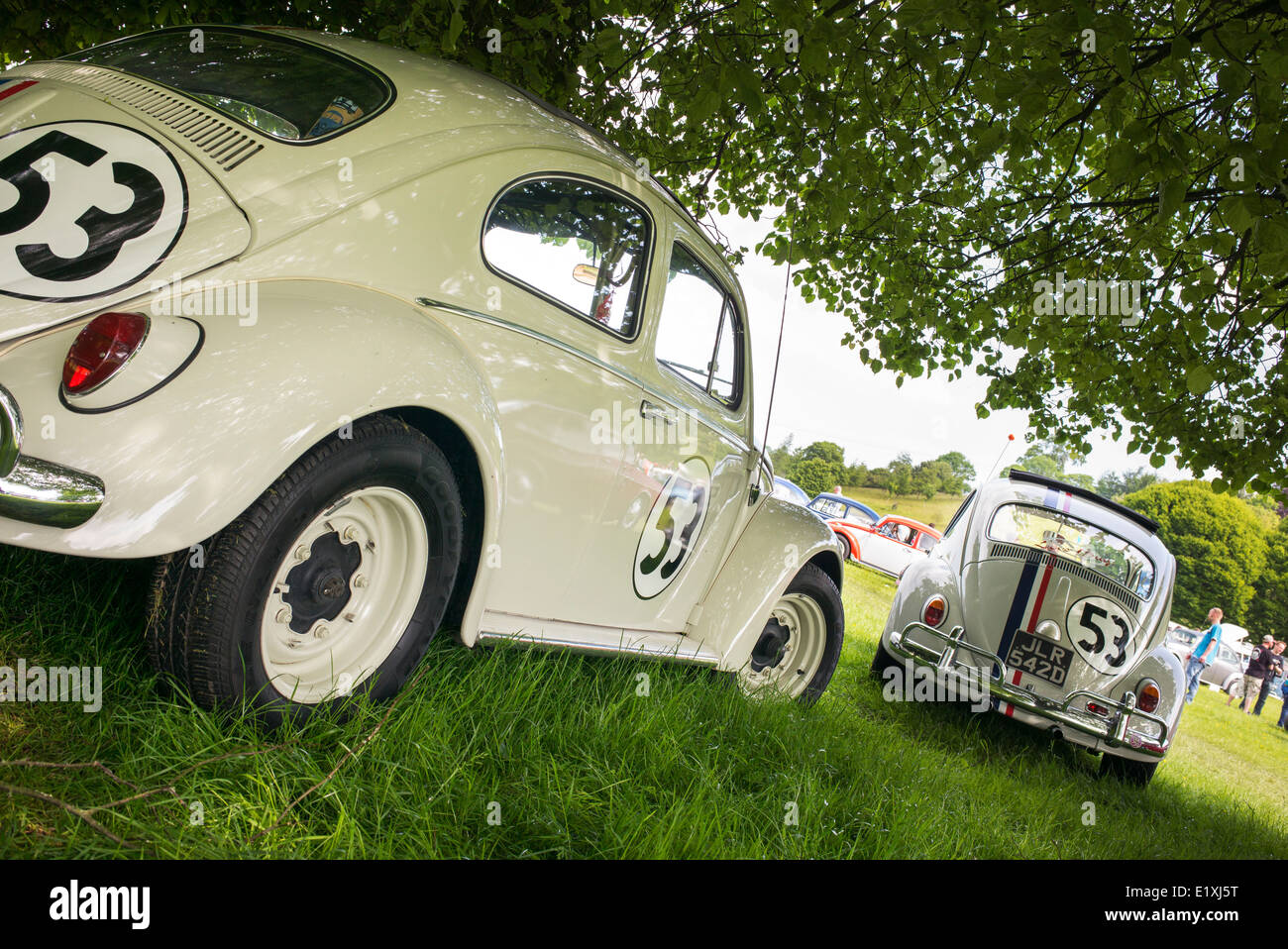 Herbie replica VW Beetle cars at a VW Show, Stoner Park Oxfordshire ...