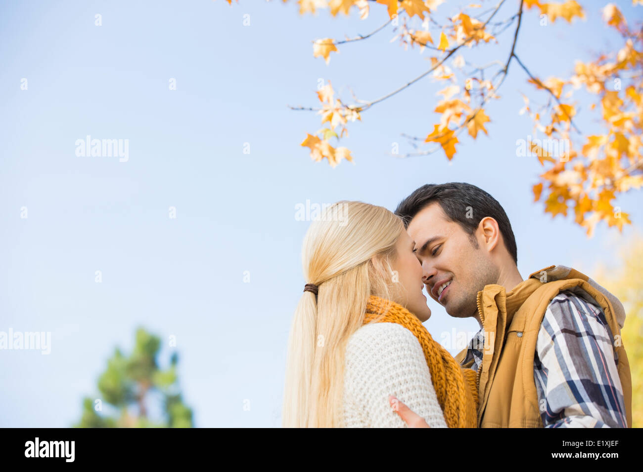 Low angle view of couple kissing against clear sky during autumn Stock Photo