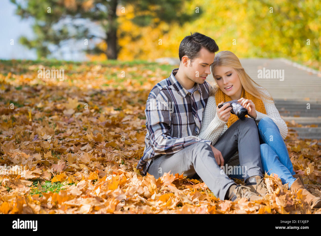 Couple looking at pictures on digital camera in park during autumn Stock Photo