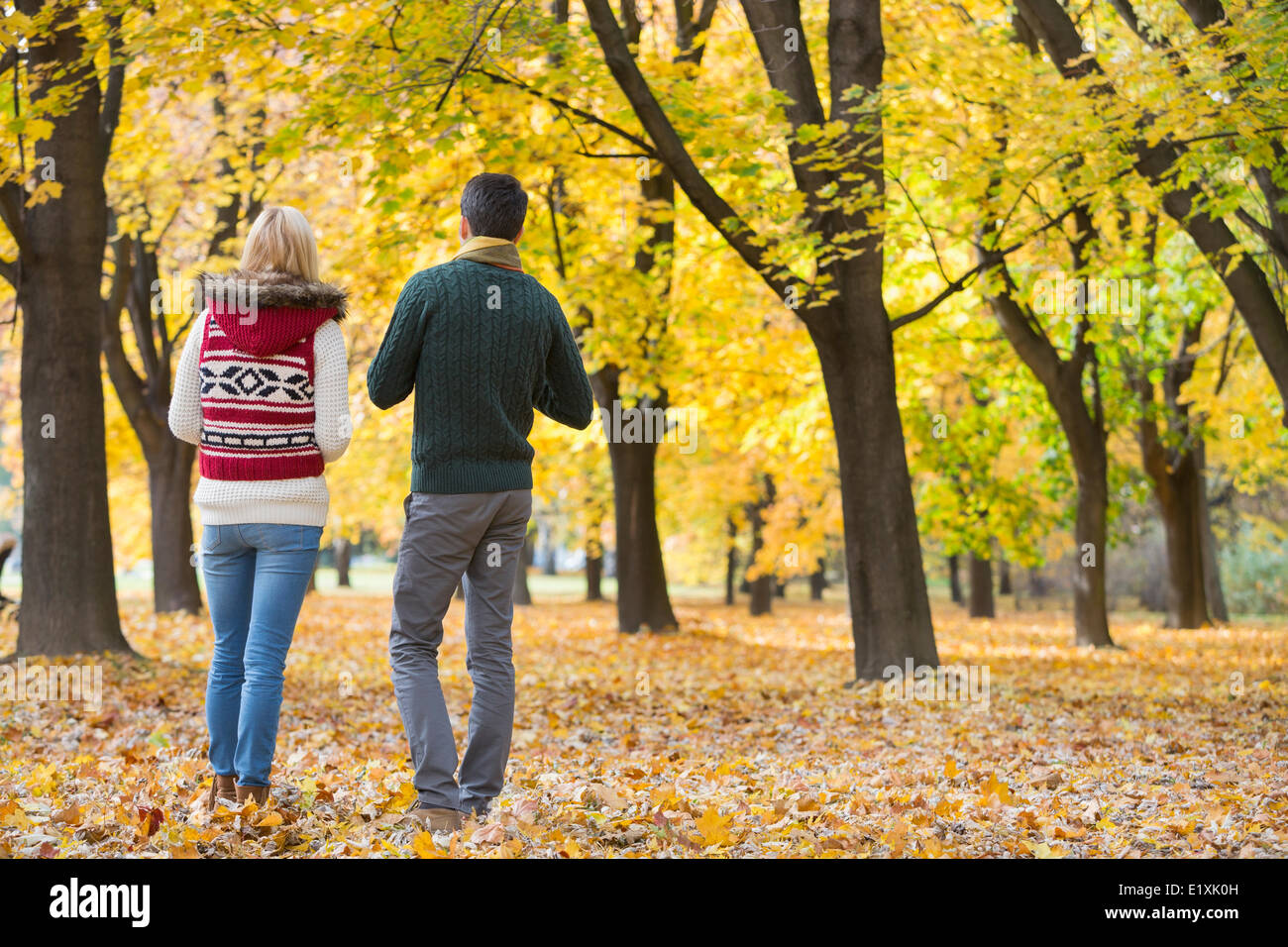 Rear view of young couple walking in park during autumn Stock Photo - Alamy