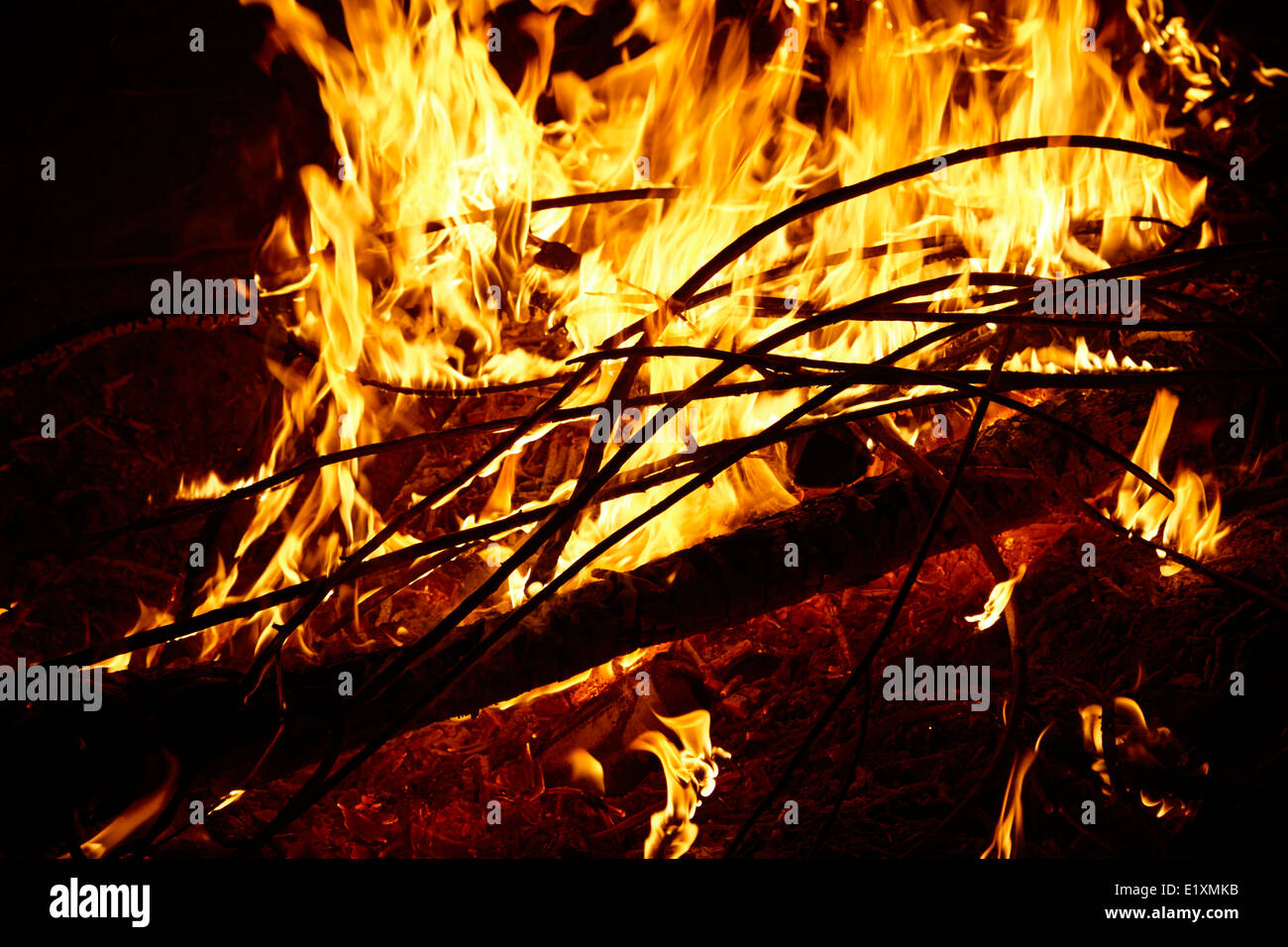 Eucalyptus wood hires stock photography and images Alamy