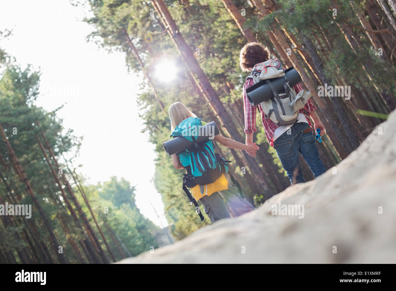 Rear view of hiking couple holding hands while walking in forest Stock ...