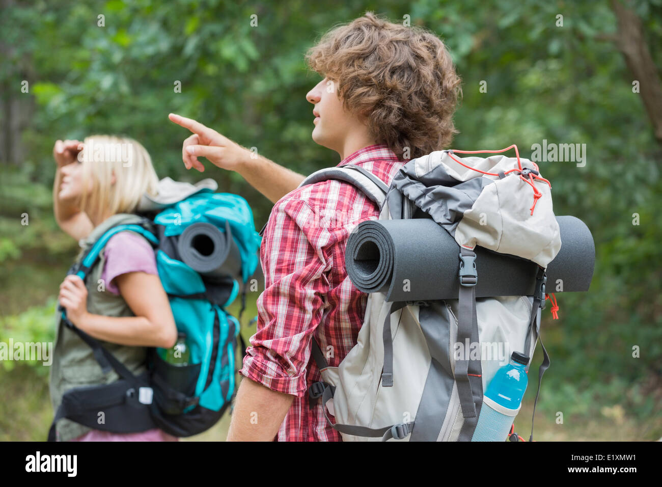Male backpacker showing something to woman in forest Stock Photo