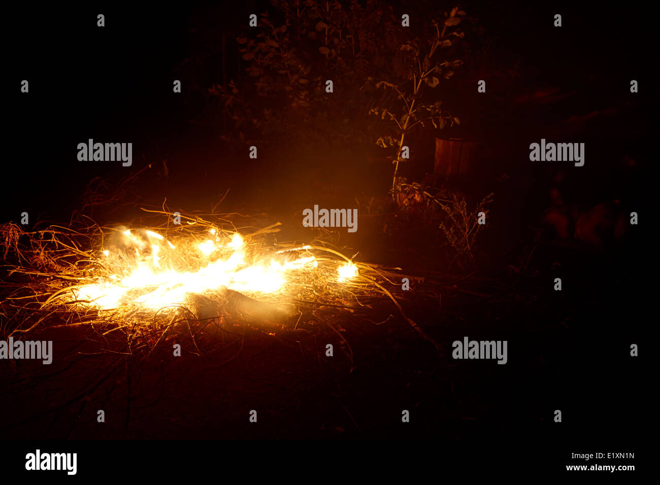 burning eucalyptus wood in an intense camp fire los pellines chile Stock Photo