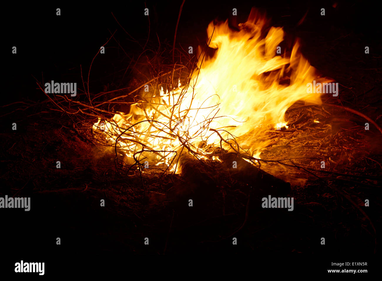 burning eucalyptus wood in an intense camp fire los pellines chile Stock Photo